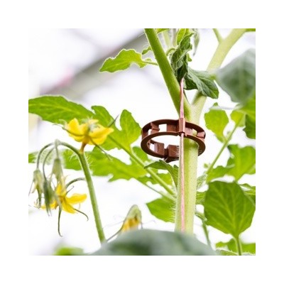 clip-redondo-tomates-23MM